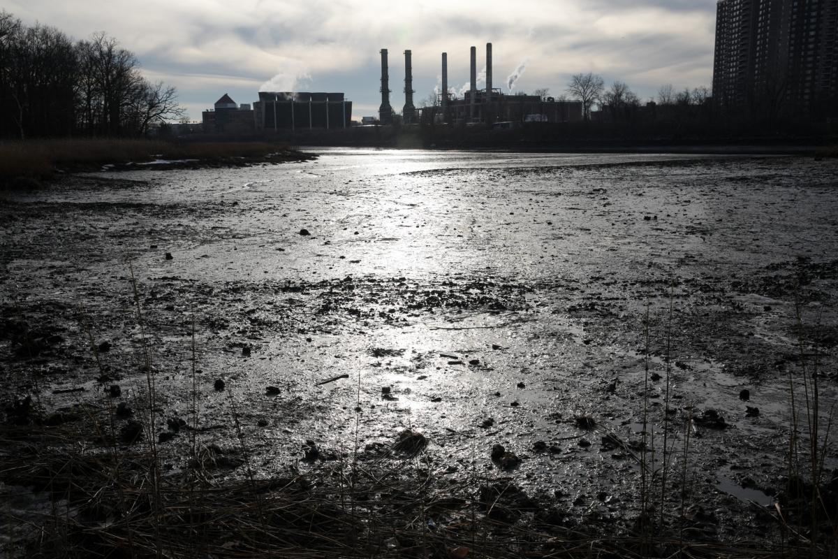 In Pelham Bay in the Bronx, an ancient salt marsh has provided a unique laboratory to study historic sea levels and perhaps see what lies ahead. Credit Todd Heisler/The New York Times